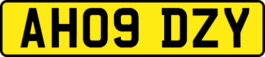 AH09DZY