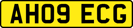 AH09ECG