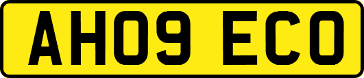 AH09ECO