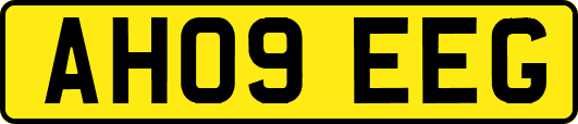 AH09EEG