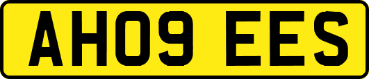 AH09EES