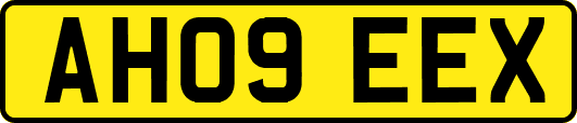 AH09EEX