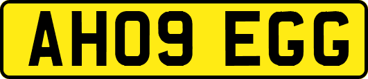 AH09EGG