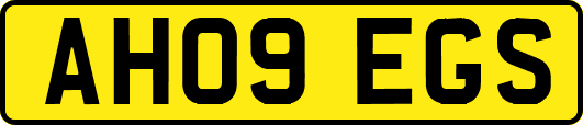 AH09EGS