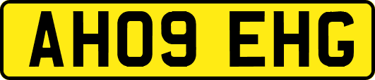 AH09EHG