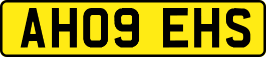AH09EHS