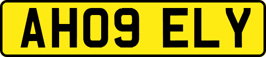 AH09ELY