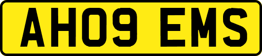 AH09EMS