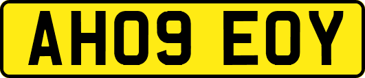AH09EOY