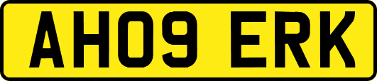 AH09ERK