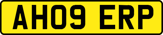 AH09ERP
