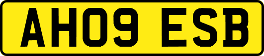 AH09ESB