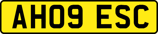AH09ESC