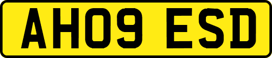 AH09ESD