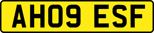 AH09ESF