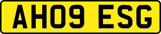 AH09ESG