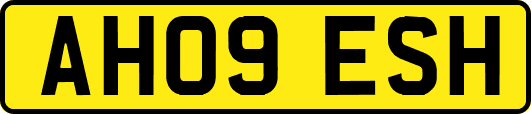 AH09ESH