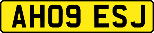 AH09ESJ