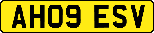 AH09ESV