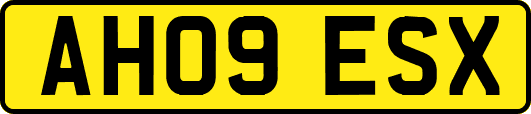 AH09ESX