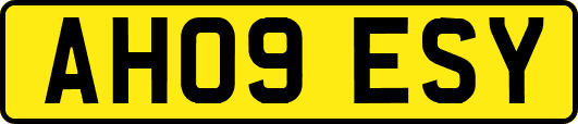 AH09ESY