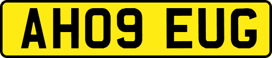 AH09EUG