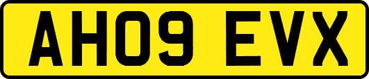AH09EVX