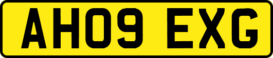 AH09EXG