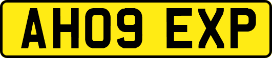 AH09EXP