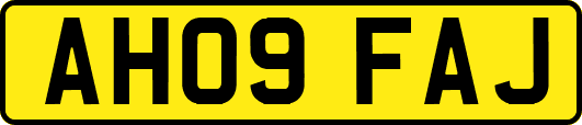 AH09FAJ
