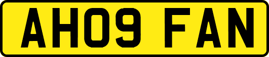 AH09FAN