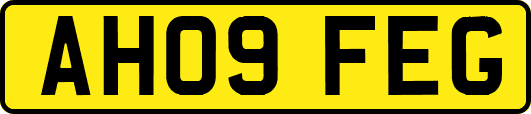 AH09FEG