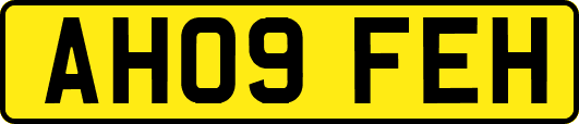 AH09FEH
