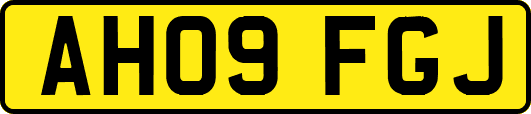 AH09FGJ