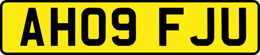 AH09FJU