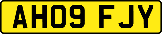 AH09FJY
