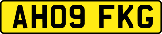 AH09FKG