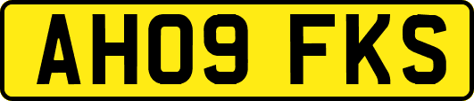 AH09FKS