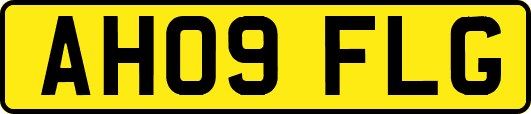 AH09FLG
