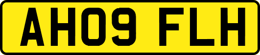 AH09FLH