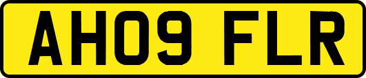 AH09FLR