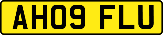AH09FLU