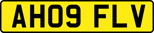 AH09FLV