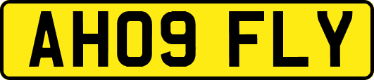 AH09FLY