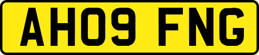 AH09FNG