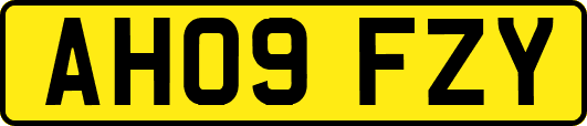 AH09FZY