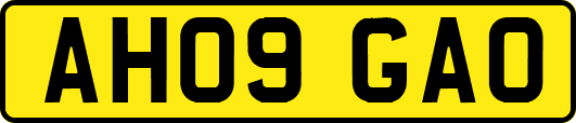 AH09GAO