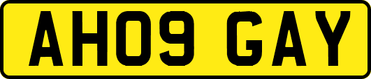AH09GAY