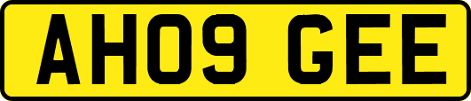 AH09GEE