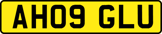 AH09GLU